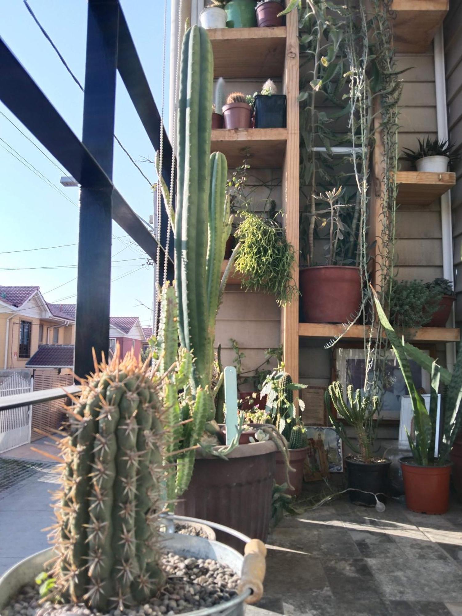 Hostel Tu Espacio Re - Habitaciones Cerca Del Aeropuerto Сантьяго Экстерьер фото